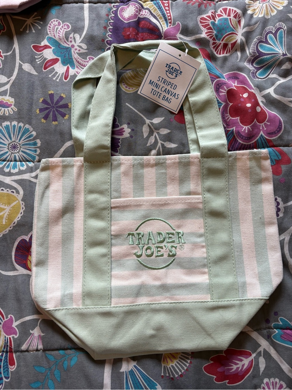 Trader Joe's Striped Mini Canvas Tote Bag in Mint & Cream